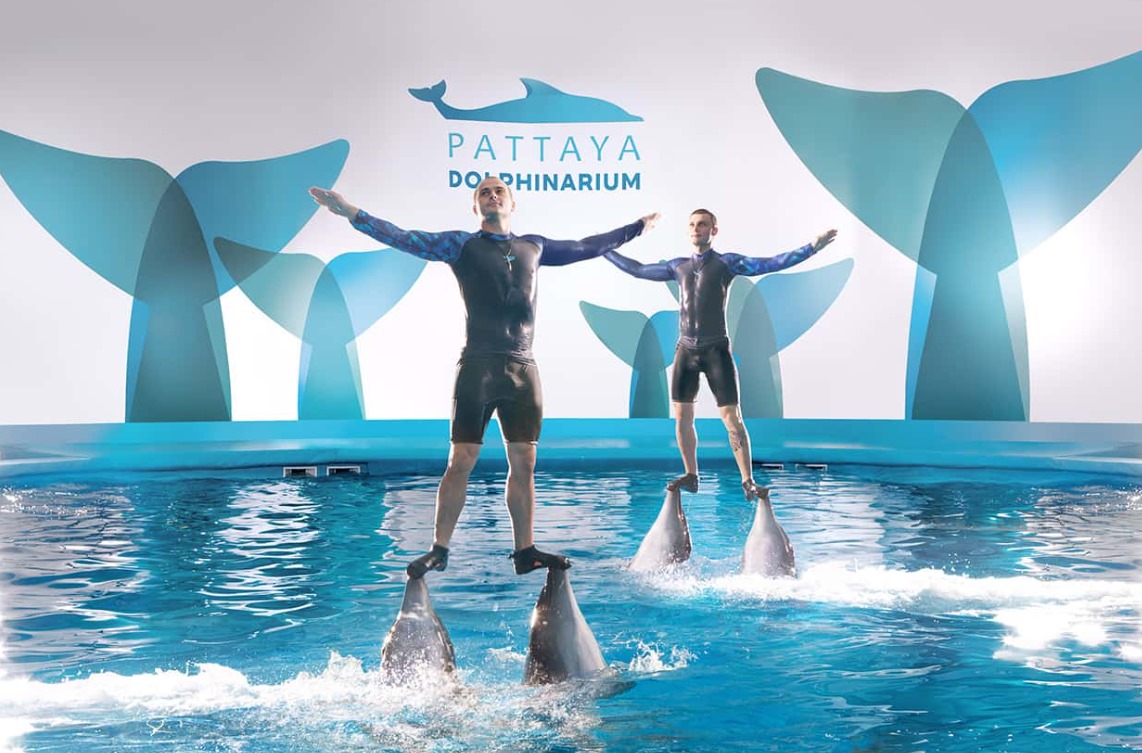 PATTAYA DOLPHINARIUM (REGULER TICKET)
